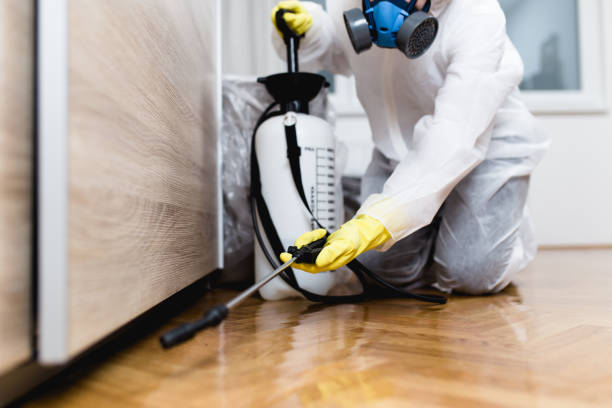 Best Residential Pest Control  in Myrtle Grove, FL