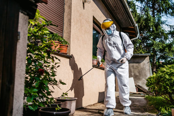 Best Wildlife Control Services  in Myrtle Grove, FL