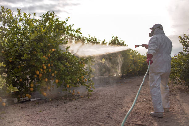  Myrtle Grove, FL Pest Control Pros