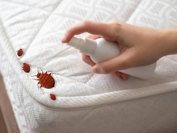 Professional Pest Control in Myrtle Grove, FL