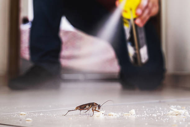 Best Pest Inspection Near Me  in Myrtle Grove, FL