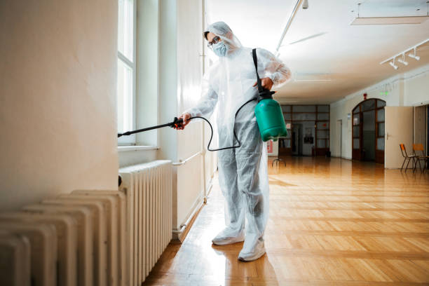 Best Bed Bug Extermination  in Myrtle Grove, FL