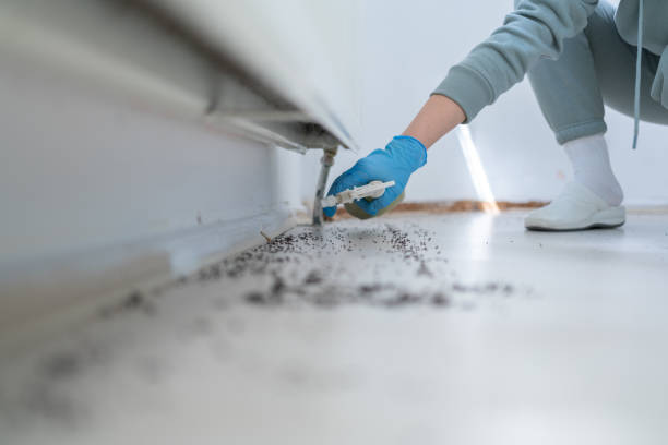 Best Cockroach Control Services  in Myrtle Grove, FL