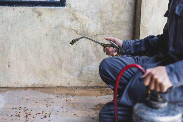 Best Affordable Pest Control Services  in Myrtle Grove, FL